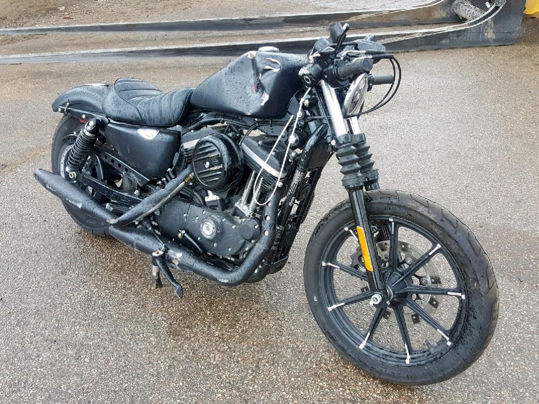 Harley Davidson Sportster 883 2019