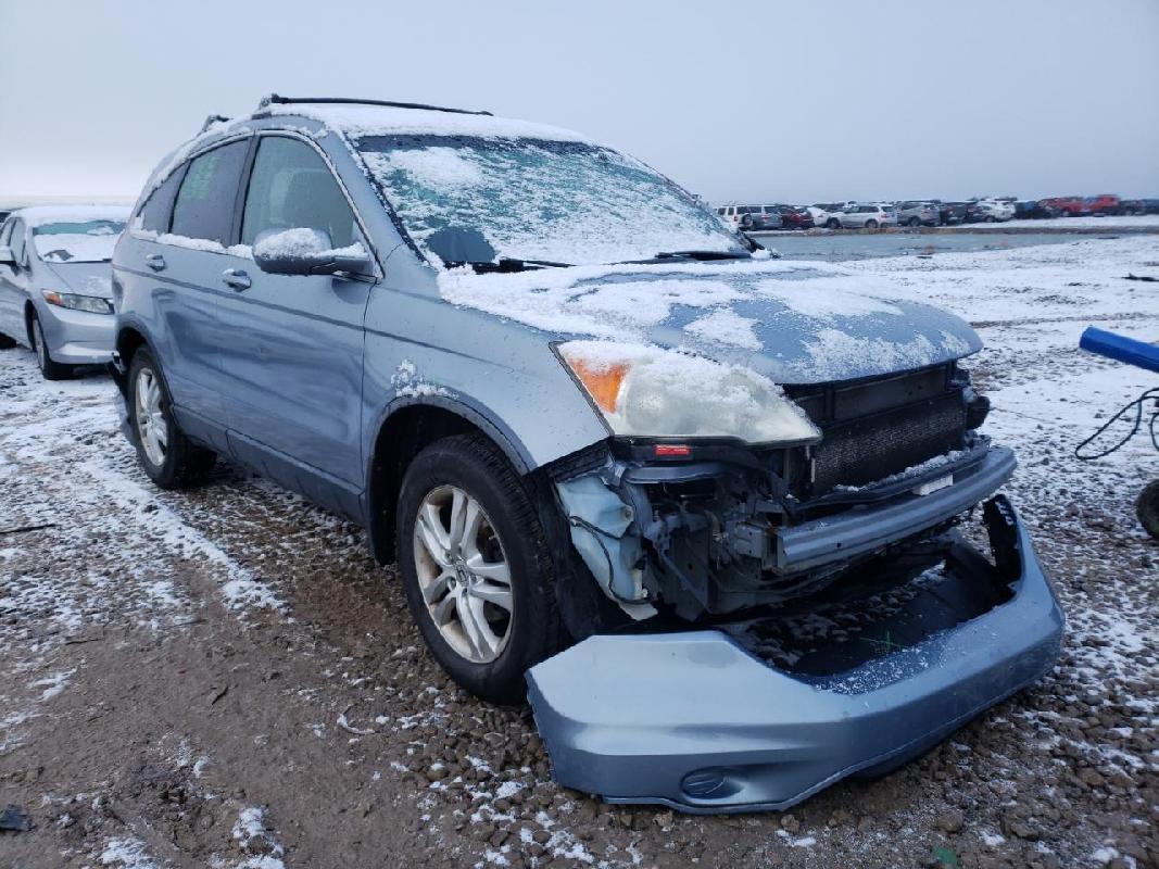 Вин код хонда cr-v 4. Номер кузова хонды crv. Вин номер хонда crv 2002. Шильдик вин honda cr-v rd1. Vin cr v.