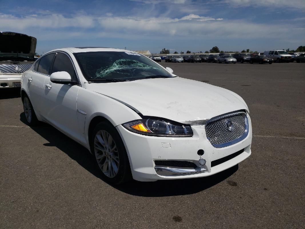 Jaguar XF White