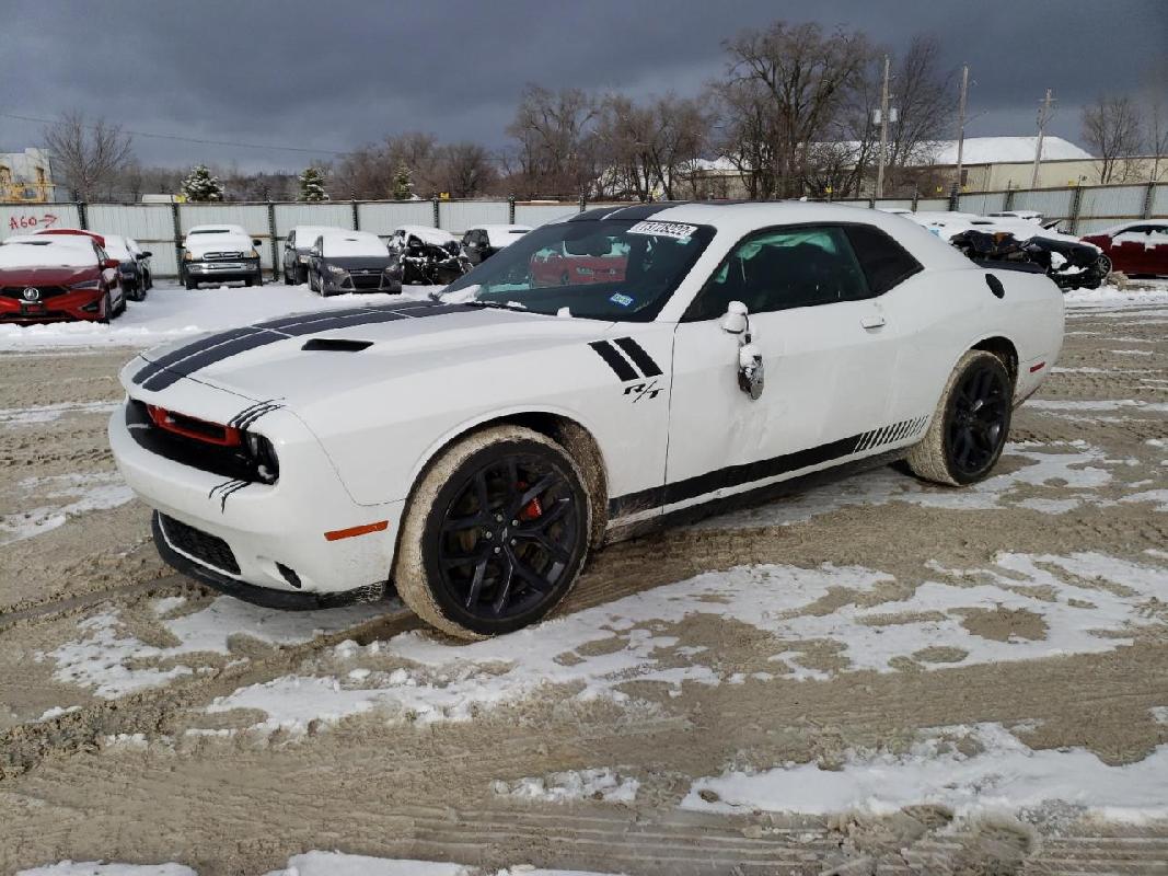 Dodge Challenger White