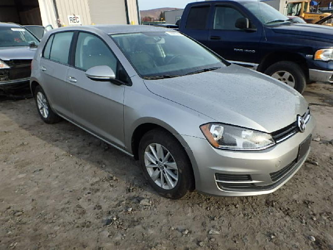 3VW217AU2FM039921